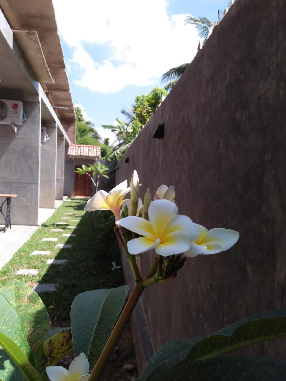 Hotel N 34 Mirissa Exterior foto